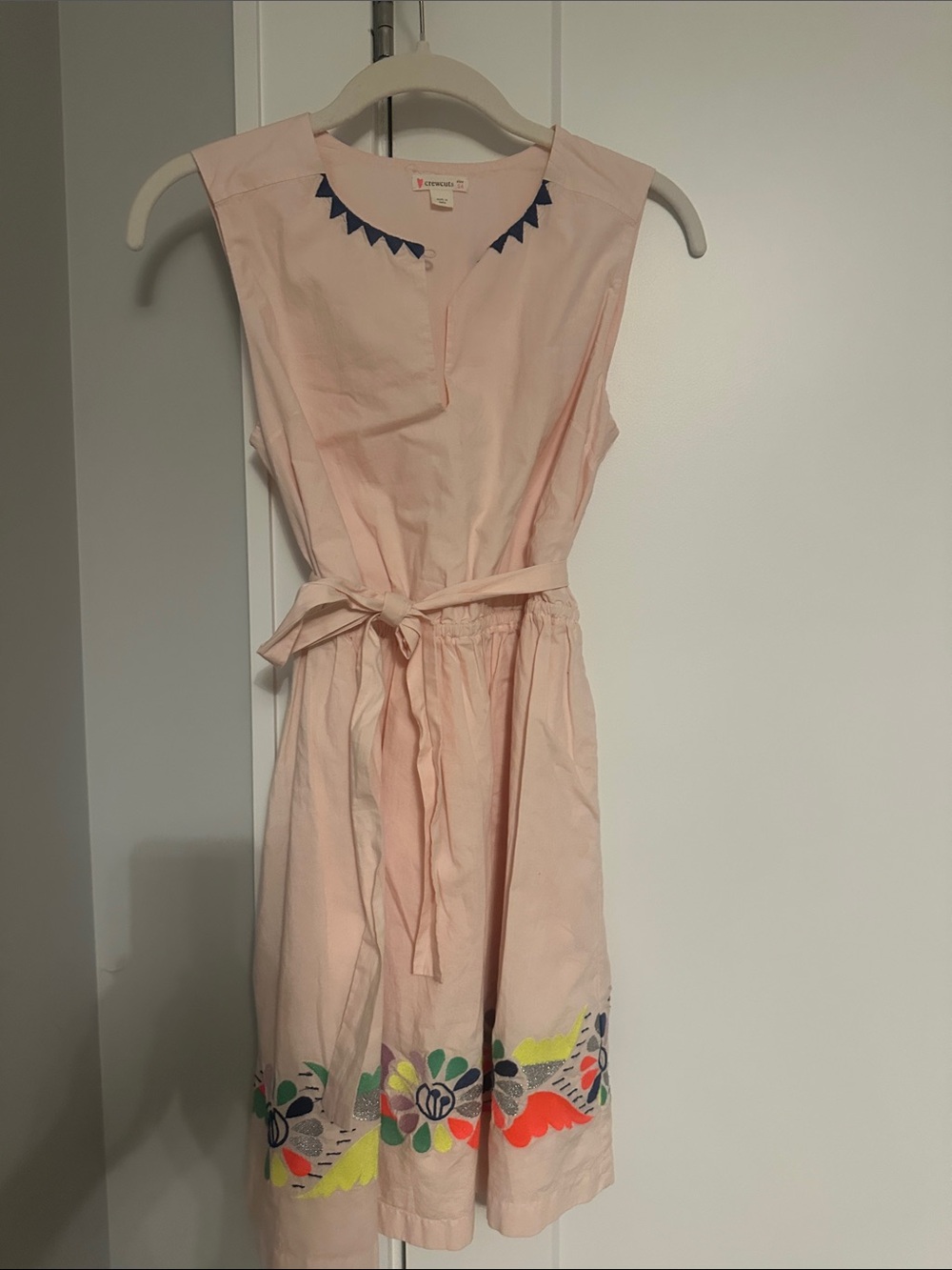 J. Crew Light Pink Sleeveless Dress with Colorful Floral Border